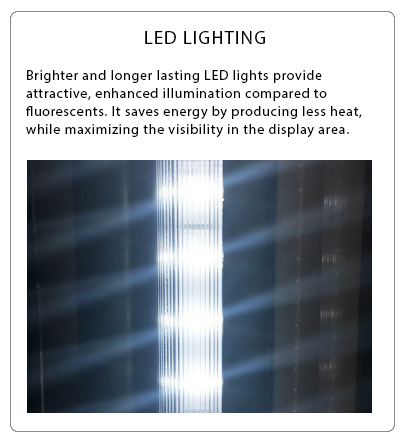 Atosa MCF8732GR Glass Door 39-inch Freezer Merchandiser 28.5 cu. Ft.